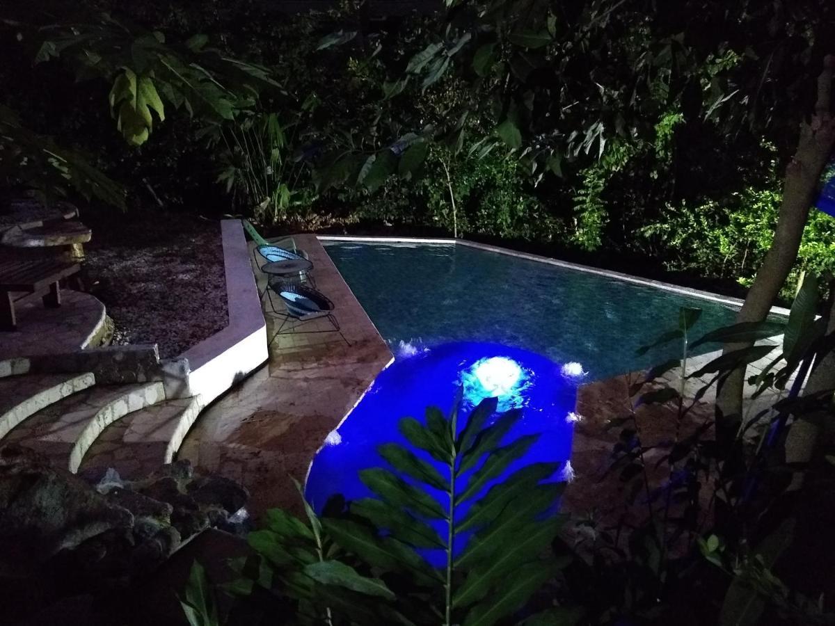 Hierba Buena Eco Hostel 埃尔扎伊诺 外观 照片