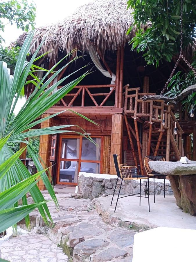 Hierba Buena Eco Hostel 埃尔扎伊诺 外观 照片