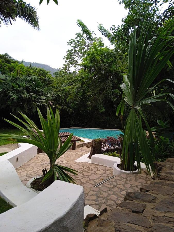 Hierba Buena Eco Hostel 埃尔扎伊诺 外观 照片