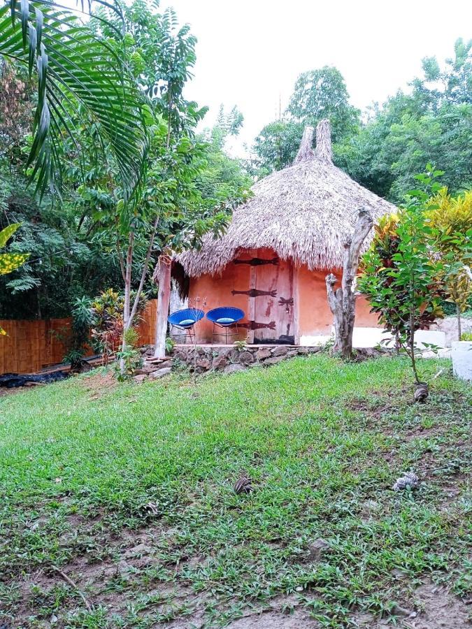Hierba Buena Eco Hostel 埃尔扎伊诺 外观 照片