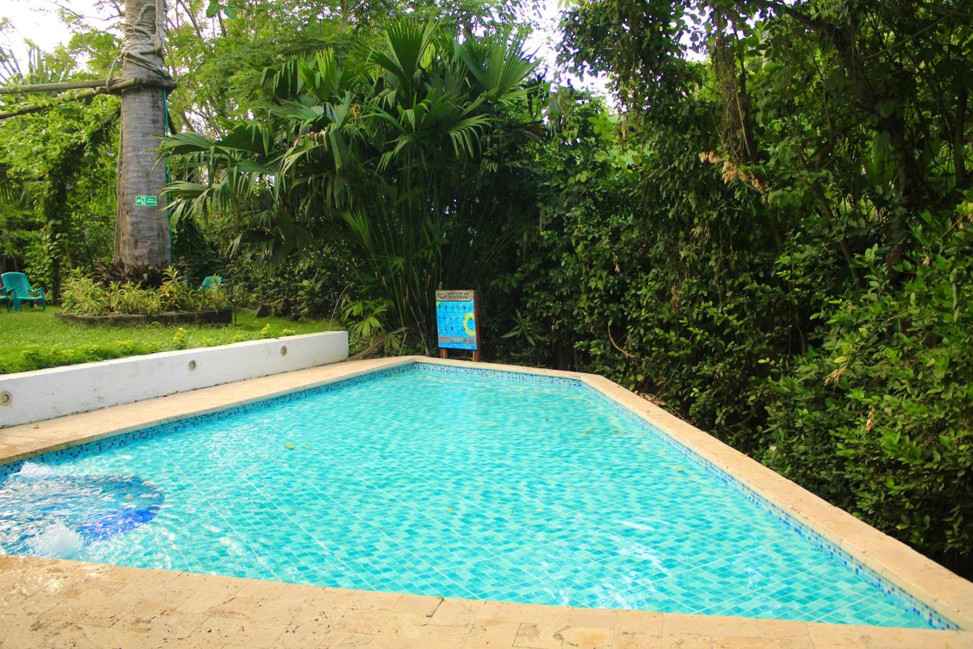 Hierba Buena Eco Hostel 埃尔扎伊诺 外观 照片