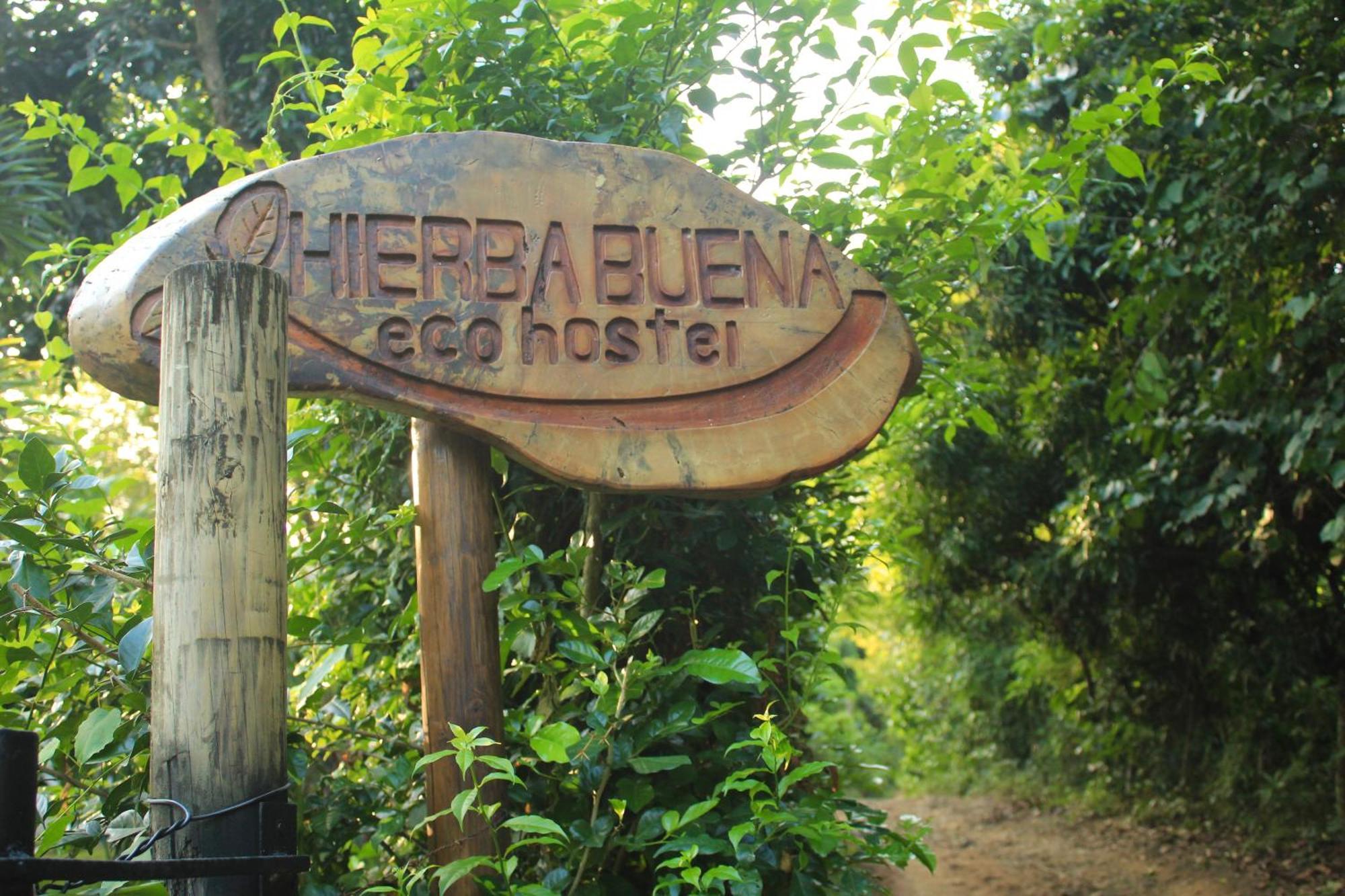 Hierba Buena Eco Hostel 埃尔扎伊诺 外观 照片