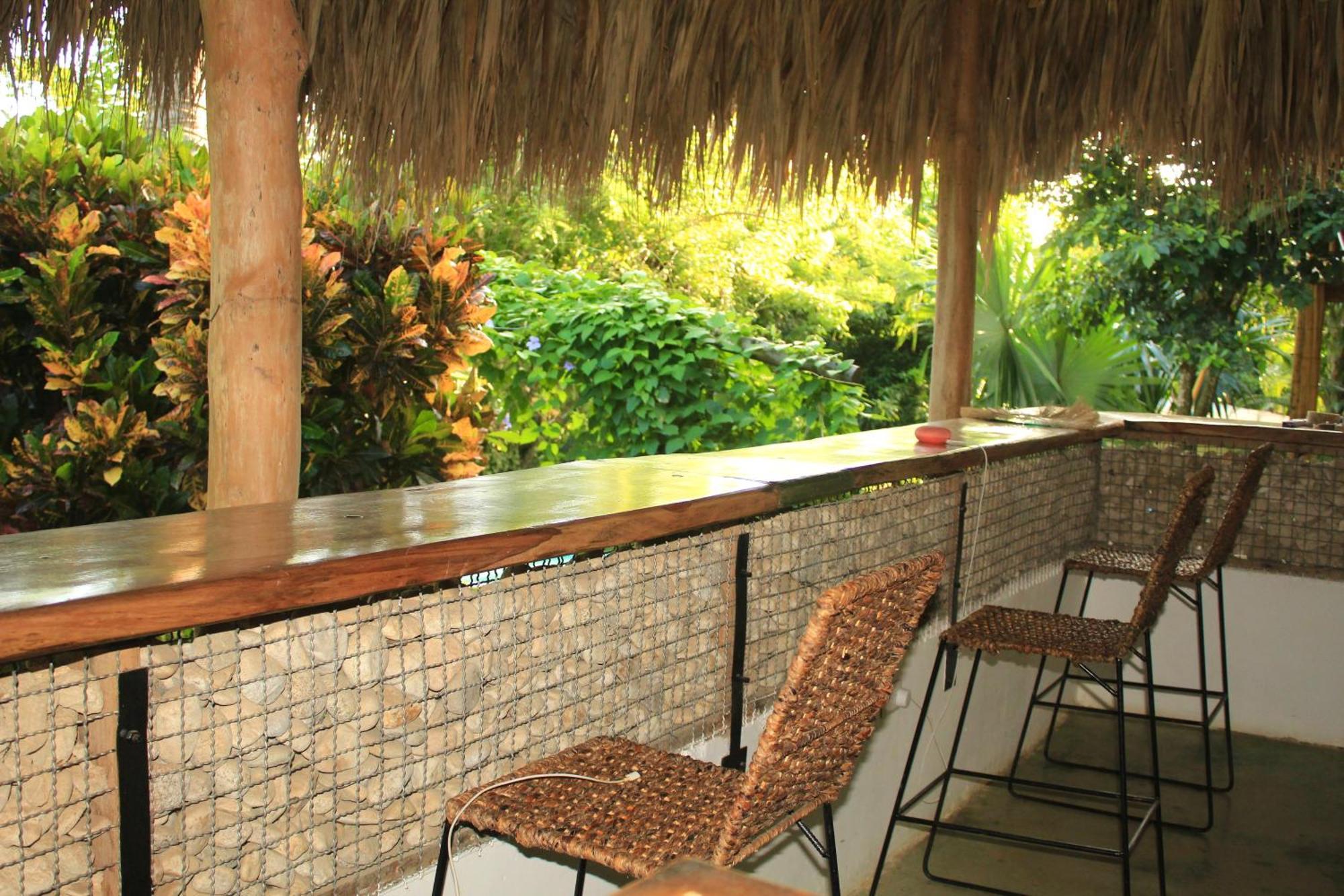 Hierba Buena Eco Hostel 埃尔扎伊诺 外观 照片