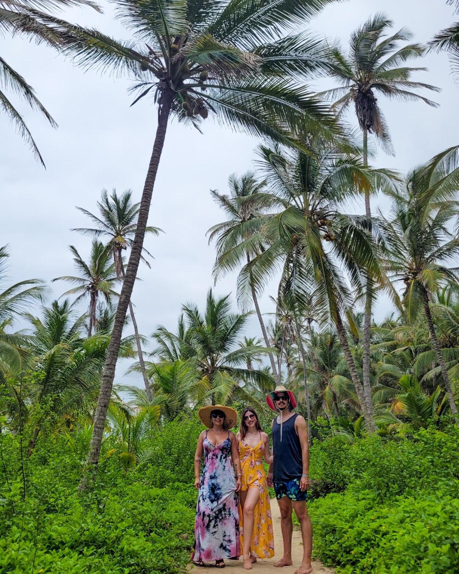 Hierba Buena Eco Hostel 埃尔扎伊诺 外观 照片