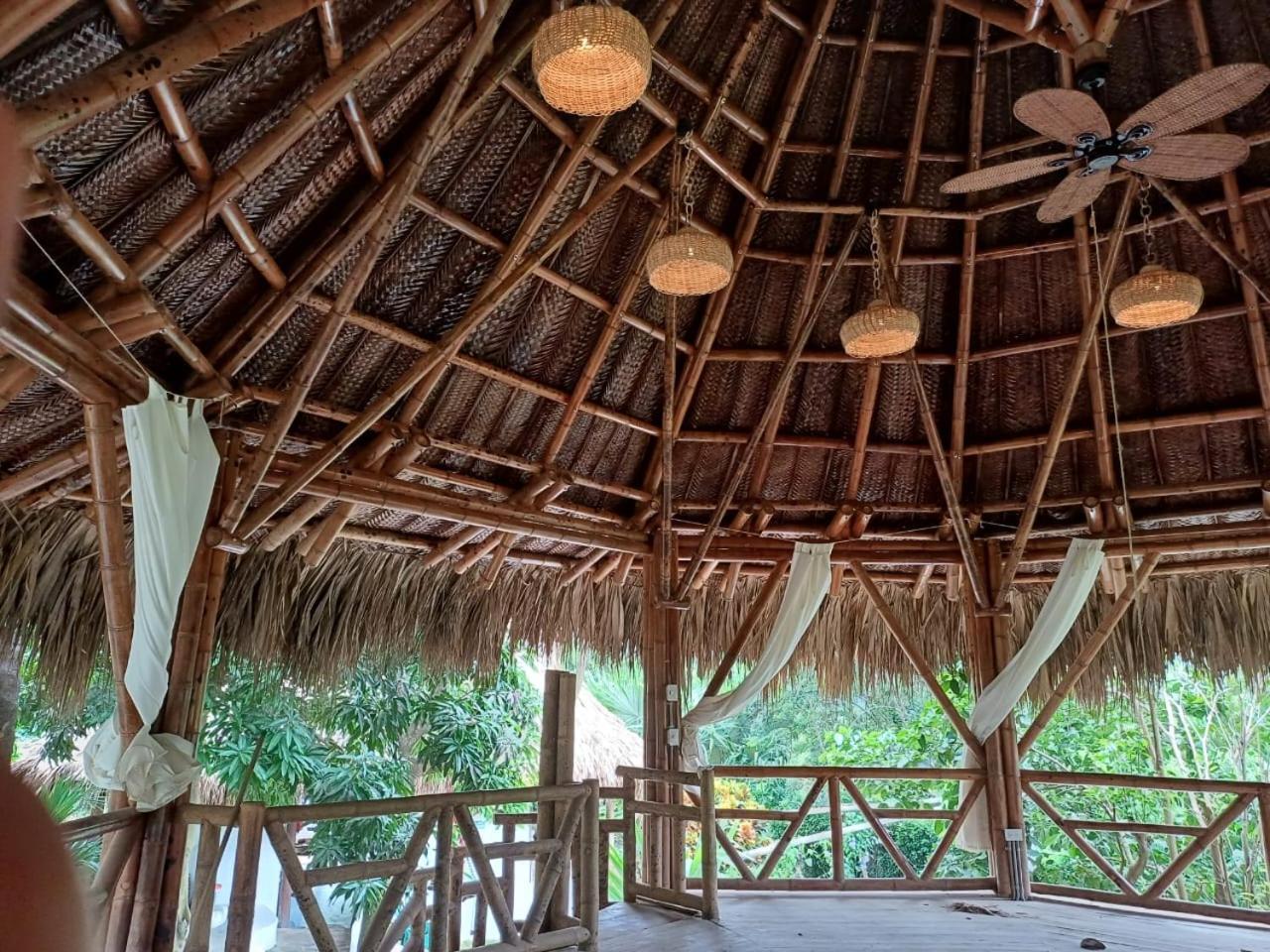 Hierba Buena Eco Hostel 埃尔扎伊诺 外观 照片