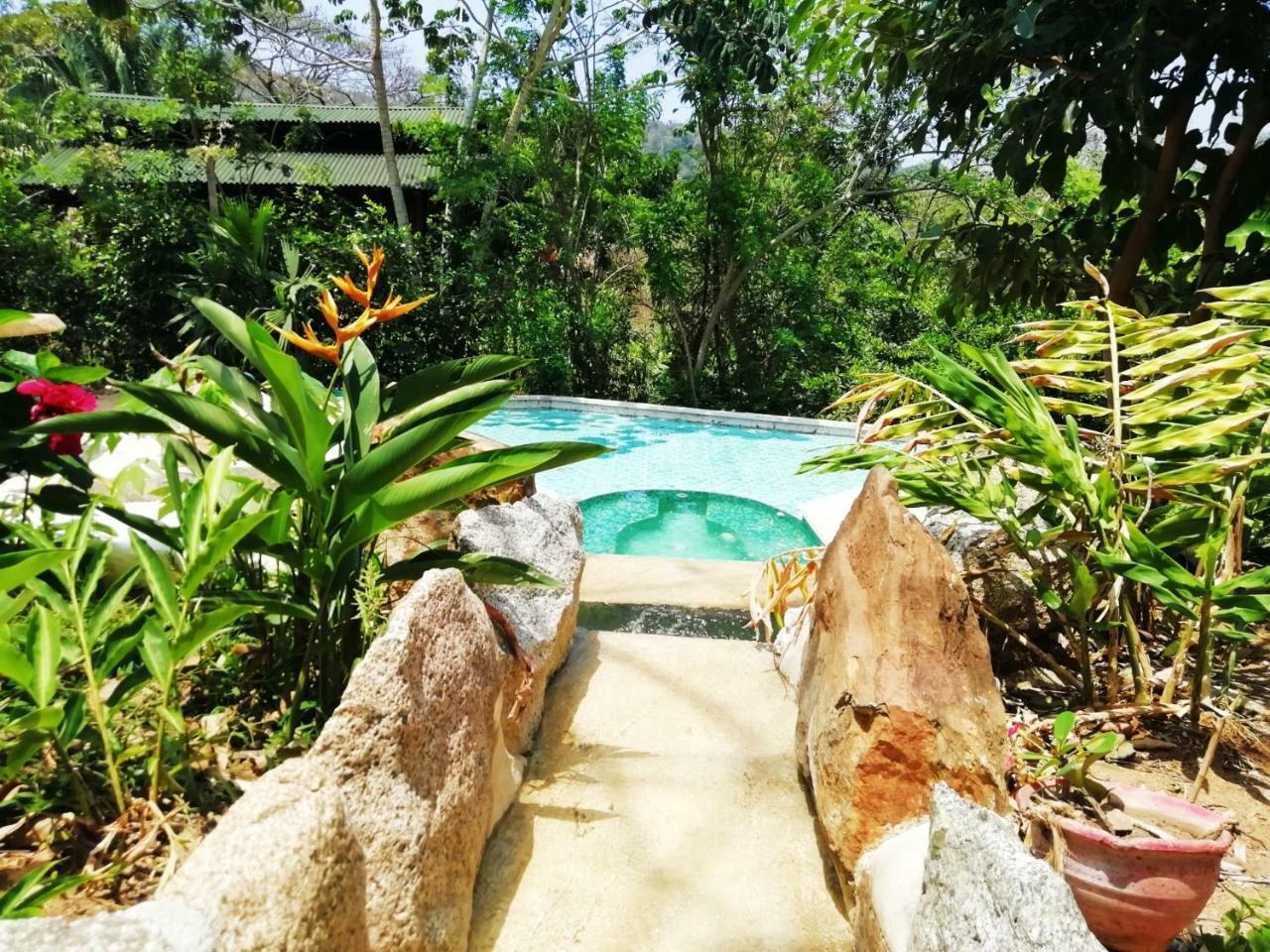 Hierba Buena Eco Hostel 埃尔扎伊诺 外观 照片