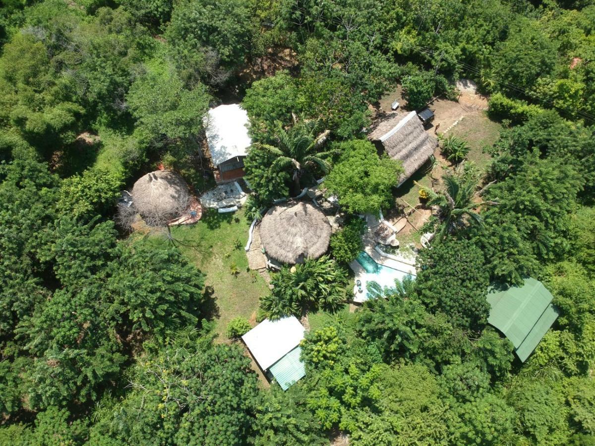 Hierba Buena Eco Hostel 埃尔扎伊诺 外观 照片